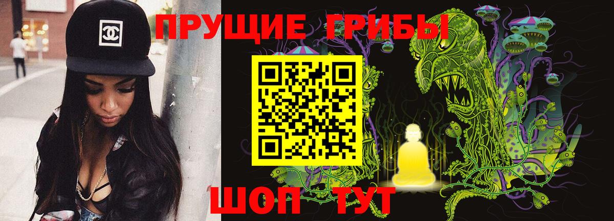 Псилоцибиновые грибы мицелий  Псилоцибиновые грибы Psilocybine cubensis  Вход с VPN  Советская Гавань 